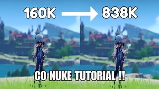 C0 Eula 160k to 838K Nuking Tutorial(No Mona) [GENSHIN IMPACT]