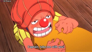 Buggy was also very brave, that's when he was a crew member of Roger Pirates || ONE PIECE