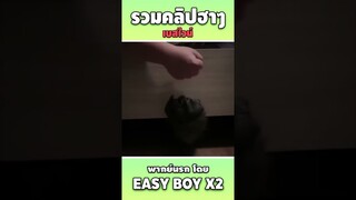 ไหนวัววะ #short #easyboy #คลิปฮา #เบสไวน์