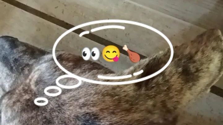 cow skin lang sakalam 🤣😂