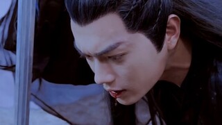 [Xu Kai x Bai Lu] I find my wife wants to kill me every day when I go home (replacement)
