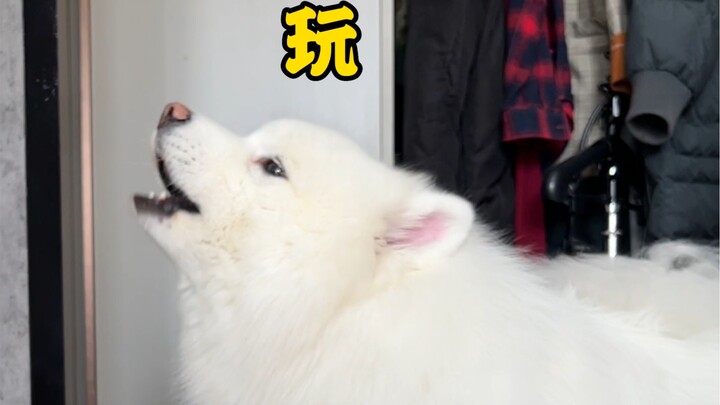 Đầu cứ ong ong lên từng ngày...