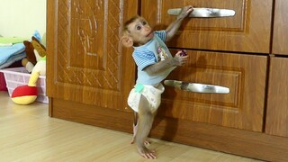 Most Beautiful! Tiny Baby Maki Walk And Stand Eating grapes Fruits Very delicious