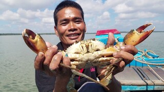 Đi Cào Bắt Trúng Con Cua Kình Lâu Năm Trên Biển | Ngư Dân Miền Tây