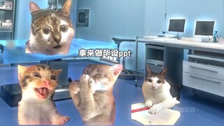 เมื่อทำตามตำราแล้วป่วย