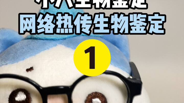 การตรวจพิสูจน์ตัวละคร Chiikawa ยอดฮิตบนโลกออนไลน์ 01