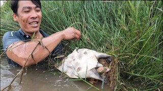 Đi Mò Ao Hoang 2 Bố Con Bị Quái Thú Cắn Suýt Mất Tay | Săn Bắt Ẩm Thực Vùng Cao