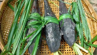 Cá Lau Kiếng nướng mọi - món ăn ngon đặc sản Miền Tây Việt Nam | Sen hồng TV