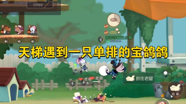 Game seluler Tom dan Jerry: Bertemu seekor "Bao Gege" yang bermain solo di mode peringkat