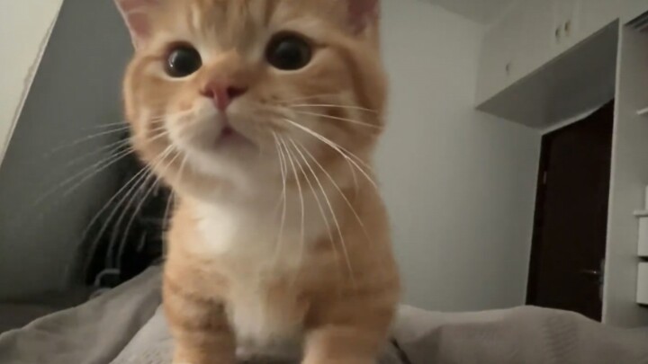 Hey, you’re awake!