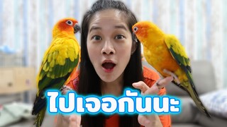 งานพืชผักรักสุขภาพและมหกรรมสัตว์ปีกแห่งประเทศไทยครั้งที่9 เจอกันน๊า!