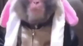 سلوكيات طفولية مثيرة للدهشة: الابتسامة التي تُظهر ثمانيَّة أسنان والسن الذهبي الذي أرعب المعلمين