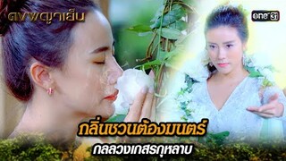 กลิ่นชวนต้องมนตร์ กลลวงเกสรกุหลาบ | Highlight ดงพญาเย็น (รีรัน) Ep.30 | one31
