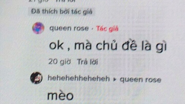 đây là solo tạo oc con mèo