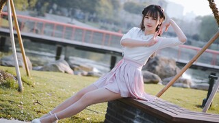 【蘑菇】春夏秋冬｜SNH48｜樱花飘落的季节，是和你度过又一年的开始