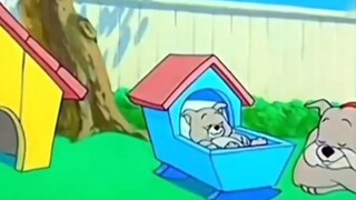 The Tom and Jerry photo collection is actually a documentary.