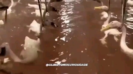 Tương lai được nuôi dưỡng bằng công nghệ thật sự quá hoành tráng, chúng ta…