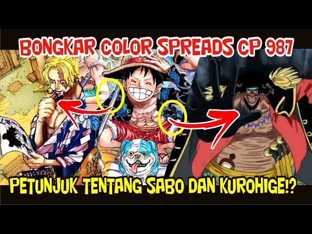 Color Spreads Cp 987 Petunjuk Tentang Sabo Dan Kurohige Bilibili