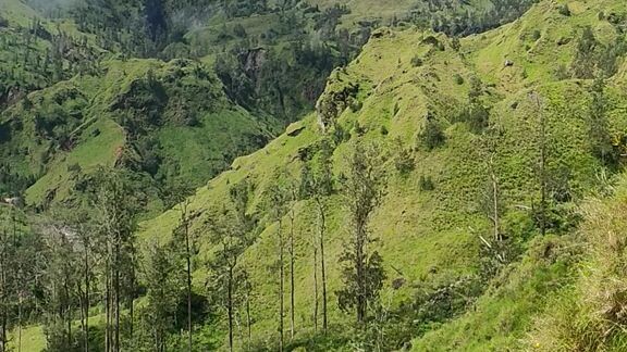 view surga