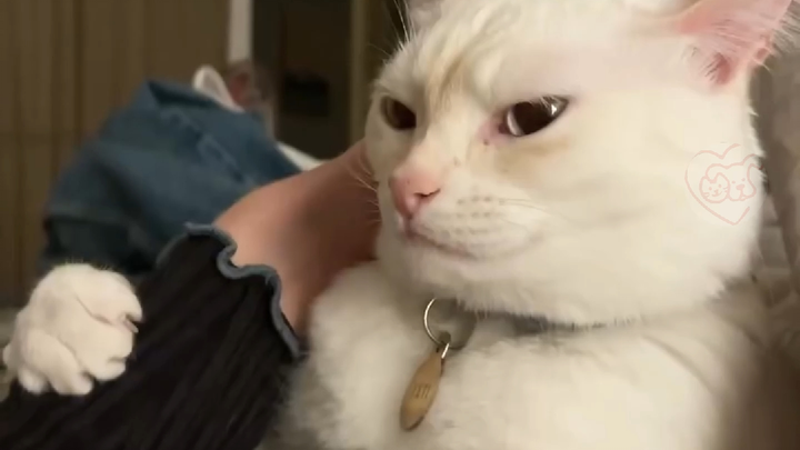 “Các người không chống nổi đâu!!”⑥