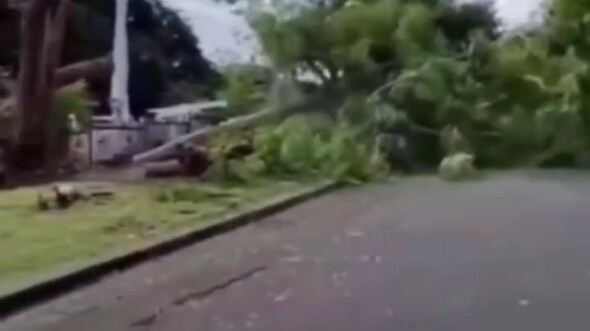 A desperate strike after falling down