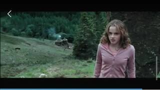 I Edited  Harry Potter because Malfoy is A Cockroach 👍w/ My Way Or The Highway