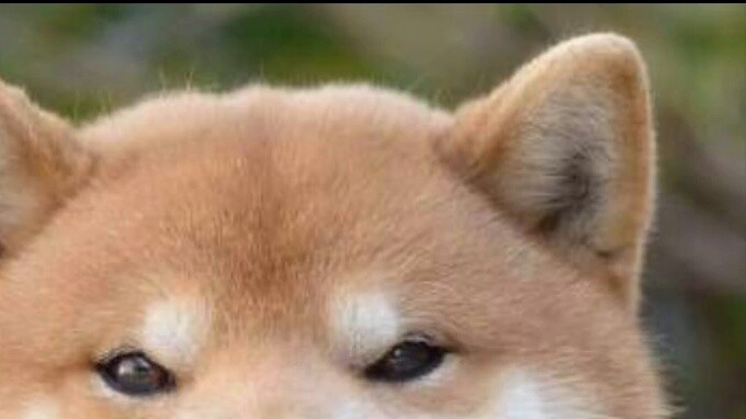 Heaven Official's Blessing Auspicious Star Shines Gentle and Angry Speech