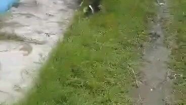 win