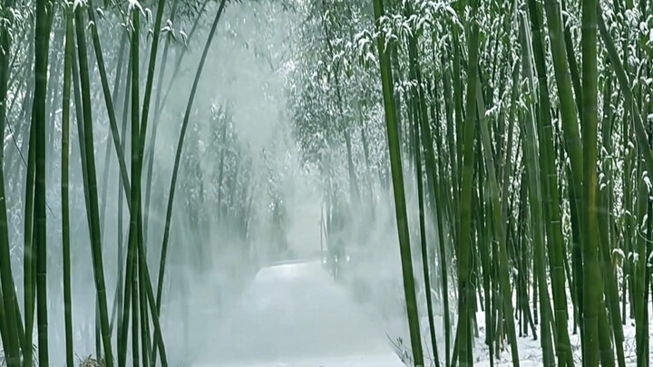 “Sương không trong, trúc không xanh, _________.”