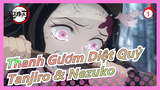 [Thanh Gươm Diệt Quỷ] Những cảnh buồn của Tanjiro & Nezuko_1