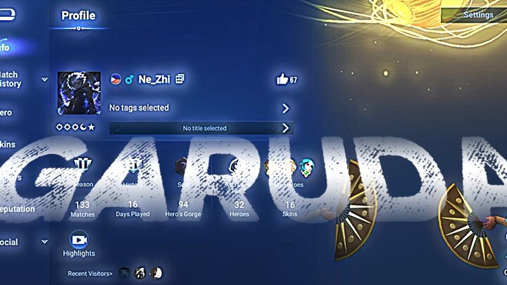 Honor of Kings Profile x Garuda