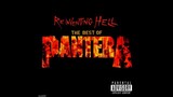 Pantera - Cowboy From Hell