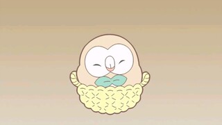 找个舒服的姿势睡觉