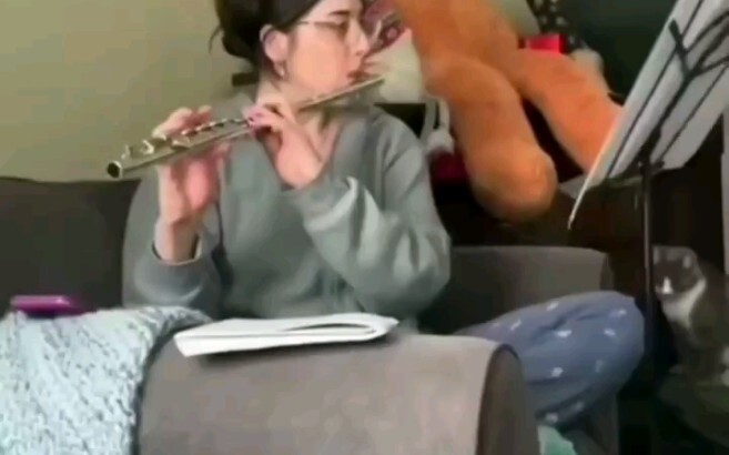 Dừng thổi sáo đi! Vui lắm à? Nhìn mà tôi cũng thèm theo luôn! Lại còn sợ bị đánh nữa!