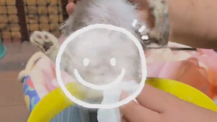 Robin: Trở thành một người mẹ? ? ? ? ?