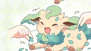 What is it like to raise a family of Ibrahimovic? Daily life in the Ibrahimovic family!