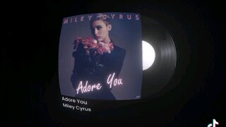 Adore You