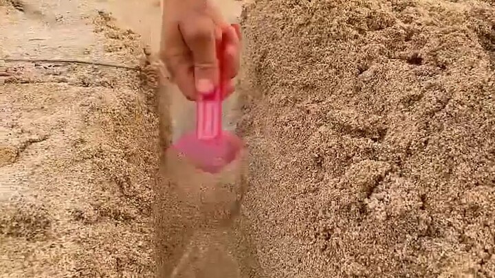Sekop plastik kecil ternyata bisa merusak seluruh pantai!