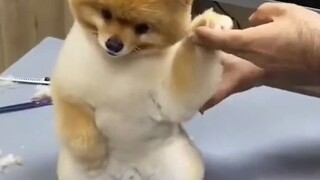 Anh ấy dễ thương quá, thậm chí còn nháy mắt nữa