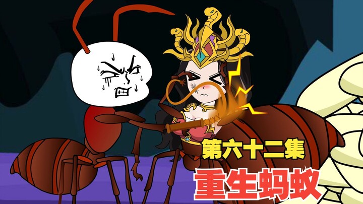 第62集，猪小强被围困屠宰场，神秘组织准备开战
