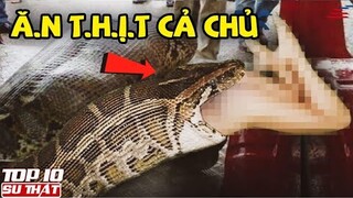 10 Người X.ui X.ẻo C.H.Ế.T vì chính Thú Cưng của Mình - N.g.u.y h.i.ể.m Hơn Bạn Nghĩ ▶ Top 10 Thú Vị