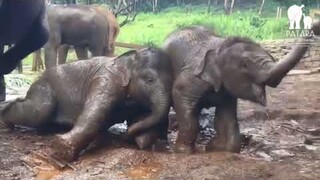 สองหนุ่มน้อยจอมซน