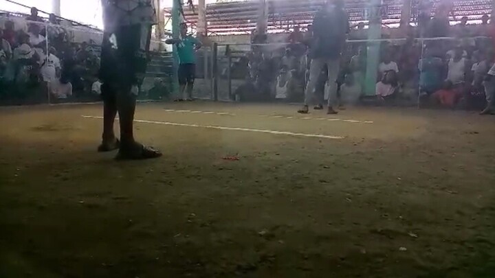 Hindang amusement Two hits Ulotan