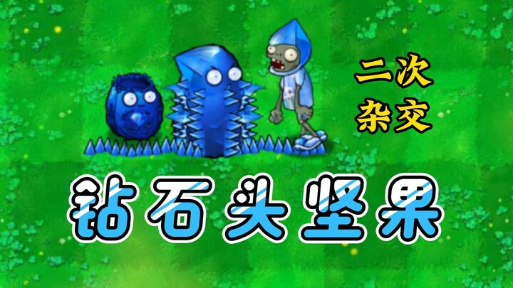 Lai tạp thứ cấp 3: Hạt óc chó hình viên đá