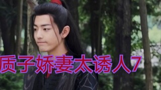 【剧版忘羡ABO】湛王的质子小娇妻7