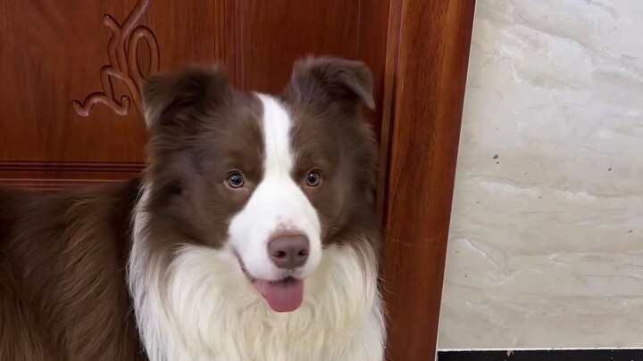 หยูจื่อ: ฉันก็อยากเป็นแสงเช่นกัน!