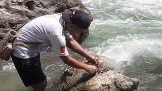 fishing in Nepal | asala fishing | himalayan trout fishing | cast net fishing |