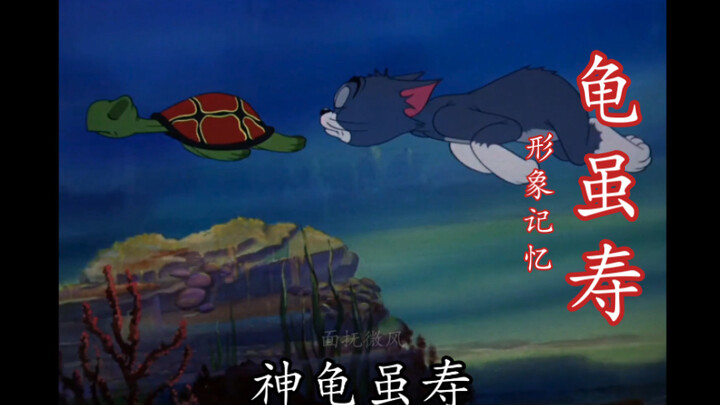 《龟虽寿》【形象记忆】