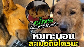 หมูปิ้ง เธอคิดเองป่าวย่ะ หมูทะถาม OMG! หมูทะนอนละเมอถึงหนุ่มไหนน? ท่านอนน่ารัก