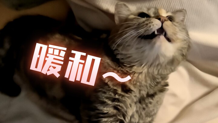 Strive to increase your interaction with humans.